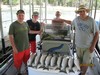 (08/05/2018) - Nice Striped Bass
